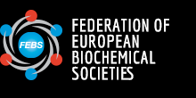 FEBS Logo